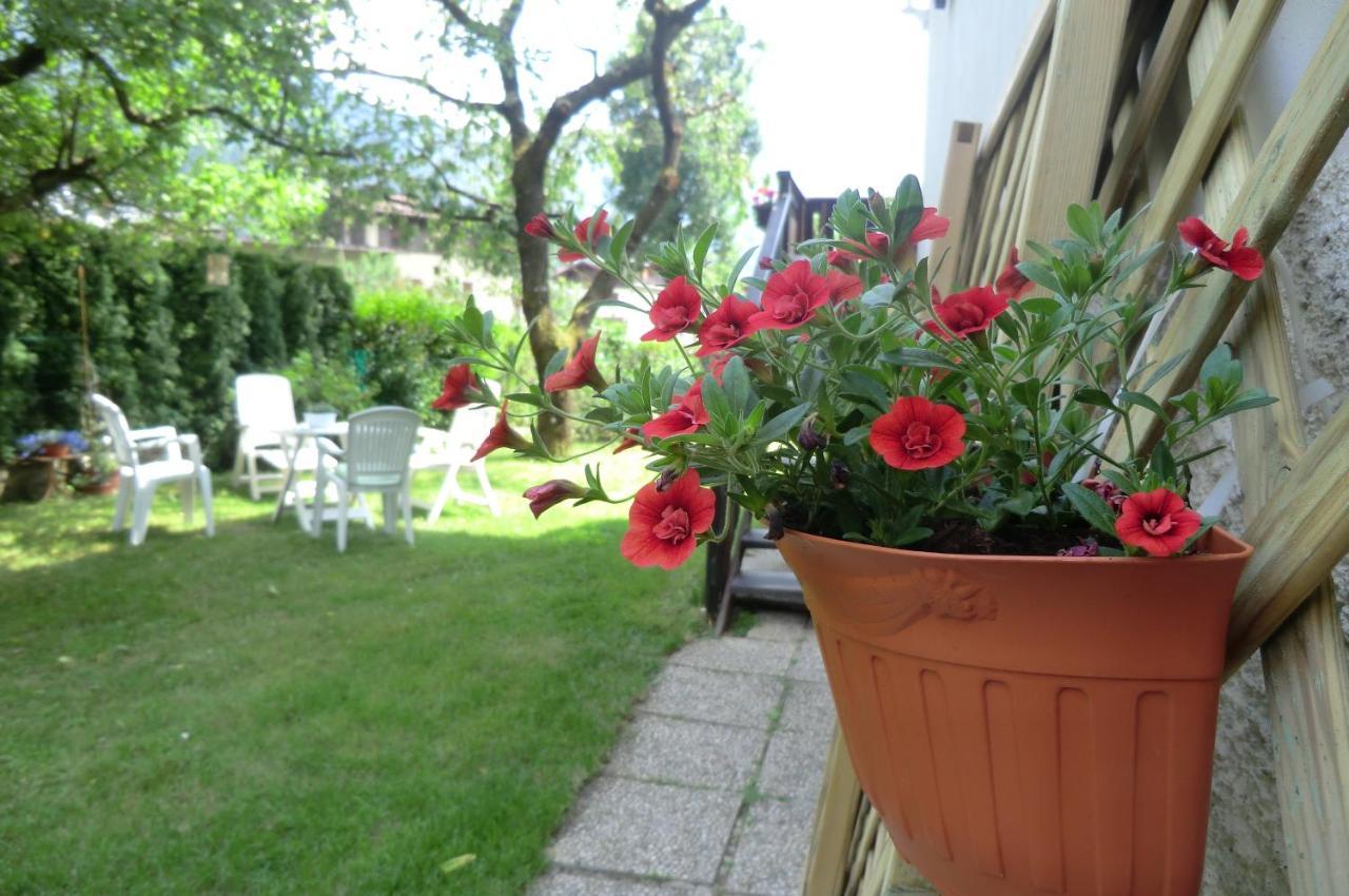 Villa Verde B&B ピンツォーロ エクステリア 写真